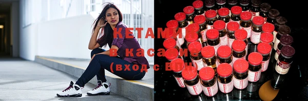 сатива Алзамай