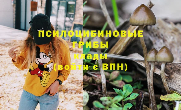 сатива Алзамай