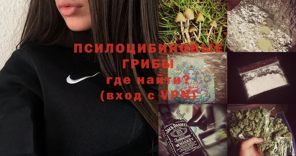 ПСИЛОЦИБИНОВЫЕ ГРИБЫ Абдулино