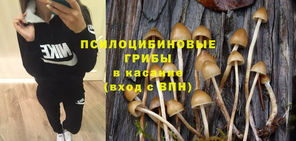 амф Алексин
