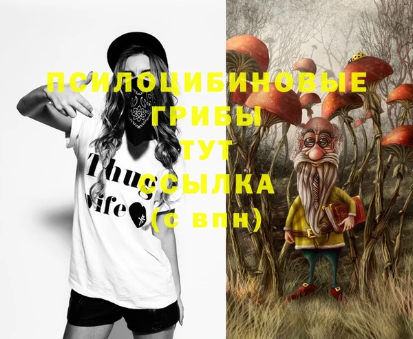 молекула духа Алексеевка