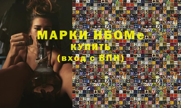 сатива Алзамай
