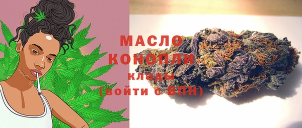 молекула духа Алексеевка