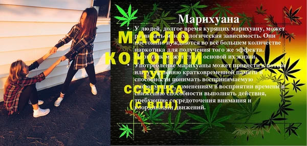 сатива Алзамай