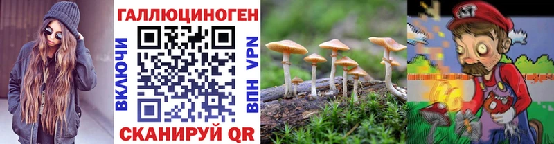 Галлюциногенные грибы Cubensis  как найти наркотики  Пошехонье 